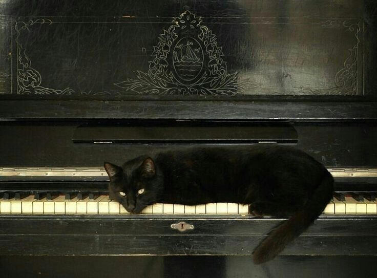 Jukebox.